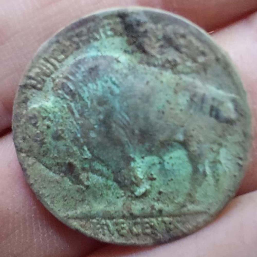 The-Nicest-Buffalo-Nickel-1935-I've-Found